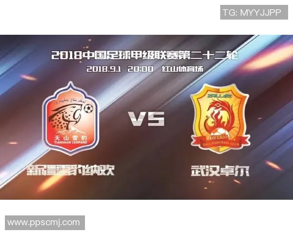 武汉足球队防守分析：优缺点与未来改进方向探讨